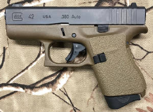 Coyote42small.jpg